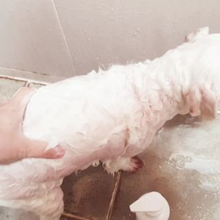 여늬님이 올린 리뷰 사진 4