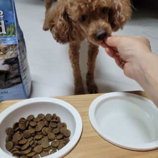 mejoom님이 올린 리뷰 사진 3