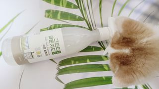 [엠메이데이] 그린티 피톤치드 감쪽같이 500ml + 손소독액 50ml — 5점을 준 리뷰어가 2022년 2월 올린 사용 사진