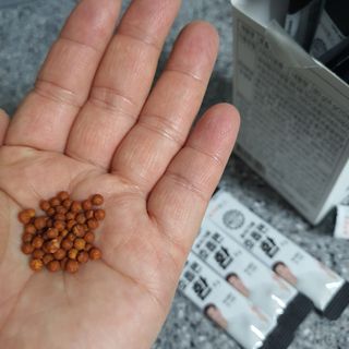 푸름웰니스 부아메라 프로폴리스 도라지 호흡편환 20포 — 5점을 준 리뷰어가 2022년 3월 올린 사용 사진