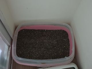 스타맘님이 올린 리뷰 사진 3