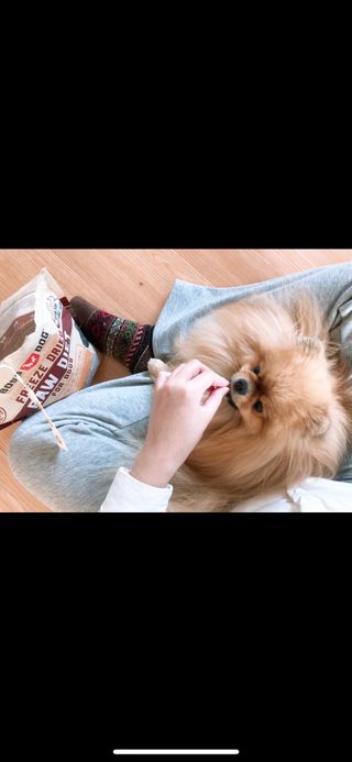 [보장균수500만] 건강한장 프로젝트 강아지사료 보스독 프로바이오틱스 340.19g 2종 — 5점을 준 리뷰어가 2021년 1월 올린 사용 사진