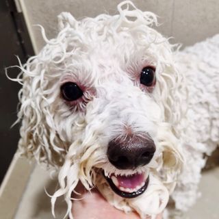 정민트님이 올린 리뷰 사진 2