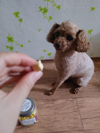 멍순이님이 올린 리뷰 사진 2