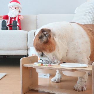 꿀아영님이 올린 리뷰 사진 4