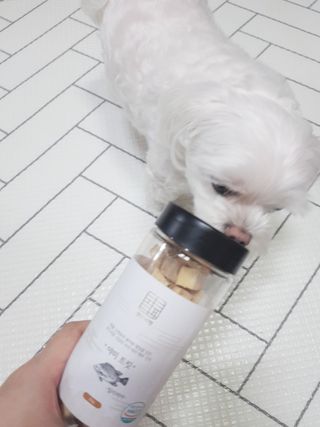 두부님이 올린 리뷰 사진 2