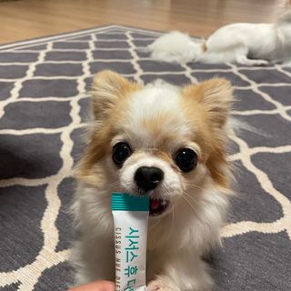 쏭블리님이 올린 리뷰 사진 4