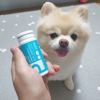 메디타민 인체유래 비피더스 포스트 프로바이오틱스 — 5점을 준 리뷰어가 2021년 10월 올린 사용 사진