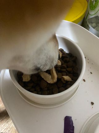 지미추님이 올린 리뷰 사진 2