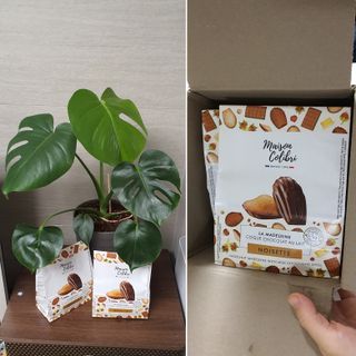 [메종콜리브리] 프랑스 마들렌 메종콜리브리 헤이즐넛 마들렌 2팩 — 5점을 준 리뷰어가 2022년 2월 올린 사용 사진