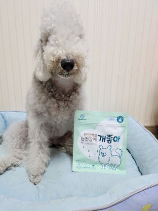 My Pet Care 천연단백질 눈건강에 개좋아 — 5점을 준 리뷰어가 2021년 2월 올린 사용 사진