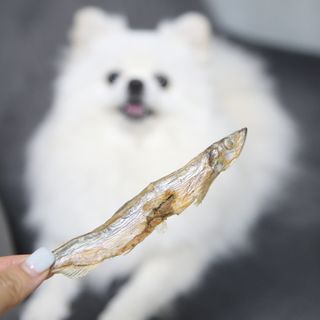 털털미녀님이 올린 리뷰 사진 1