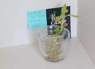 sunny님이 올린 리뷰 사진 2