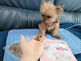 My Pet Care 천연단백질 관절건강에 개좋아 — 4점을 준 리뷰어가 2021년 2월 올린 사용 사진