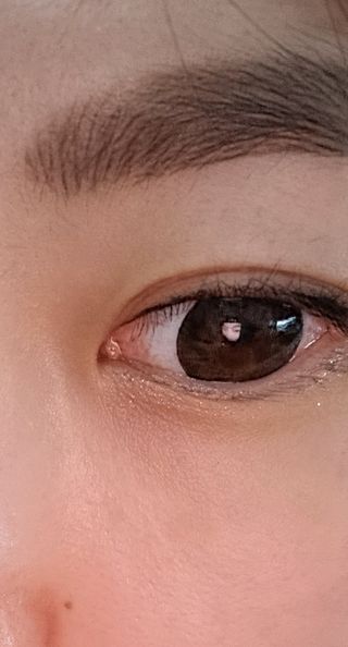 내장산속리산님이 올린 리뷰 사진 2