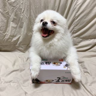 오랑이님이 올린 리뷰 사진 1