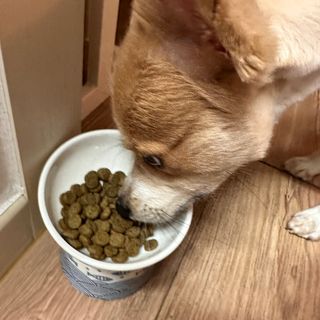 민트펌킨님이 올린 리뷰 사진 3