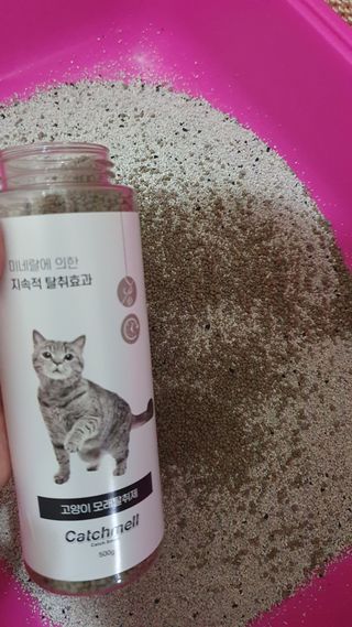 먹방슈트리아님이 올린 리뷰 사진 3
