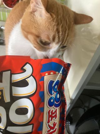 진진이님이 올린 리뷰 사진 1