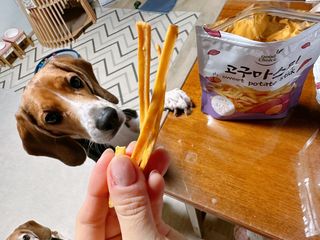 cobemom님이 올린 리뷰 사진 3