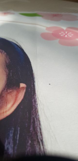 반드시된다님이 올린 리뷰 사진 3