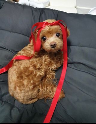 ehlove님이 올린 리뷰 사진 1