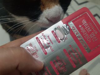 솔탄이love님이 올린 리뷰 사진 4