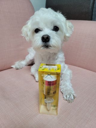 무지조타 반려동물용 꽃으로만든영양제 헬리코디펜스 15ml — 4점을 준 리뷰어가 2021년 8월 올린 사용 사진