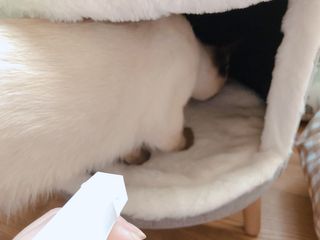 모닝스타님이 올린 리뷰 사진 3