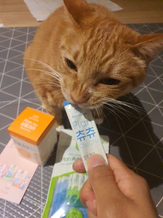 짱가엄마님이 올린 리뷰 사진 1