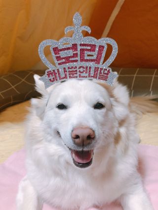 bori0924님이 올린 리뷰 사진 1
