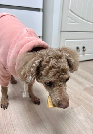 랑랑이1님이 올린 리뷰 사진 3