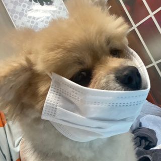 짱아언니님이 올린 리뷰 사진 3