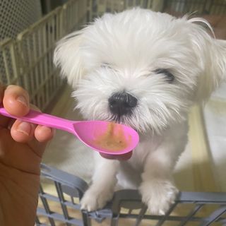 손땡구님이 올린 리뷰 사진 4