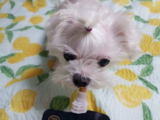 쏭블리님이 올린 리뷰 사진 3