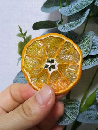 아비삭과일칩 5종 /딸기,사과,배,귤,무화과 5종 — 5점을 준 리뷰어가 2021년 4월 올린 사용 사진