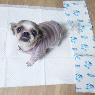 그늘이님이 올린 리뷰 사진 1