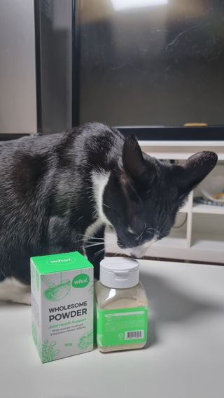 최새미님이 올린 리뷰 사진 1