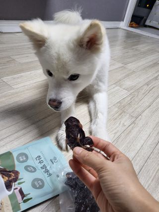 kay님이 올린 리뷰 사진 2