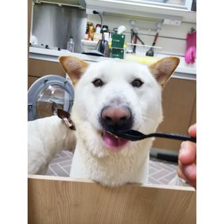 콩콩님이 올린 리뷰 사진 4