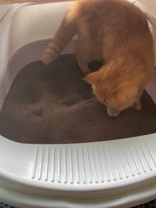 레미님이 올린 리뷰 사진 3
