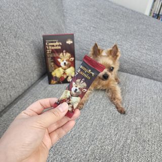 내사랑하람님이 올린 리뷰 사진 2