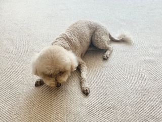 테티스님이 올린 리뷰 사진 3
