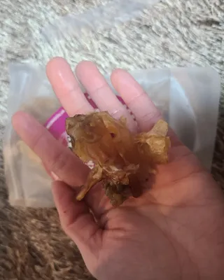 타리아가씨님이 올린 리뷰 사진 3