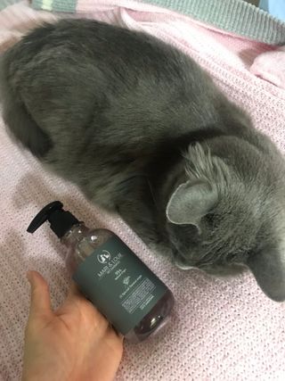 마리앤루이펫샴푸 [mari and louie pet shampoo] — 5점을 준 리뷰어가 2021년 5월 올린 사용 사진