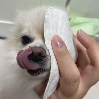 디어엘로디 유기농 무표백 건티슈 60매 — 5점을 준 리뷰어가 2022년 9월 올린 사용 사진