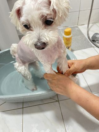 BLUME님이 올린 리뷰 사진 2