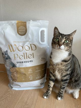 버진플래닛코리아 버진플래닛 고양이 화장실 우드 펠렛 모래 배변 펠릿 — 5점을 준 리뷰어가 2023년 3월 올린 사용 사진