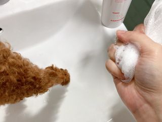 연이님이 올린 리뷰 사진 2