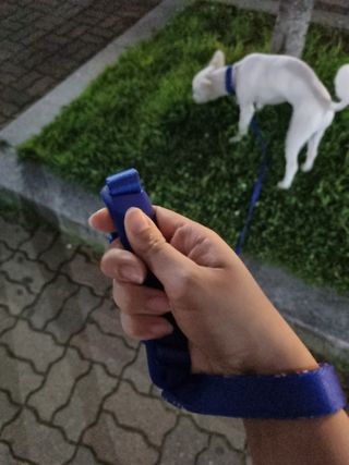 강이님이 올린 리뷰 사진 3